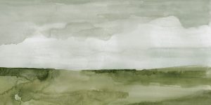 Sabinn (Marsh) - Small Preview